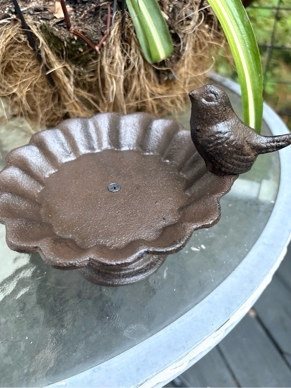 Cast Iron Brown Bird Feeder Dish - Home Accents